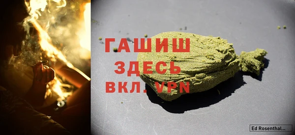 гидра Вяземский