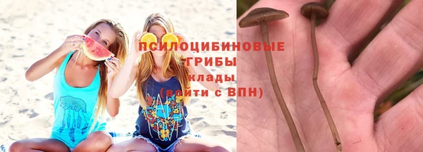 соль ск Бородино