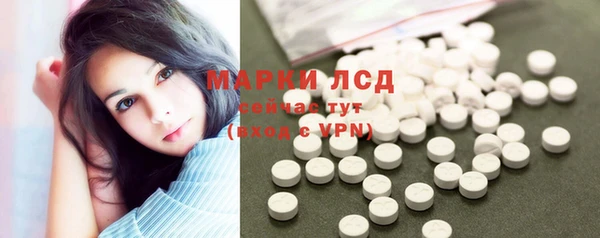 гидра Вяземский