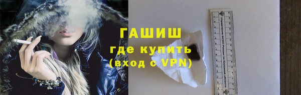 гидра Вяземский
