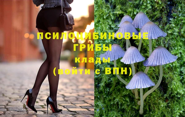 МДПВ Вязники