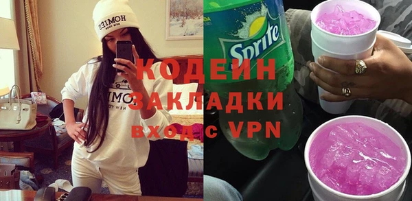 гидра Вяземский