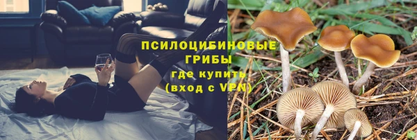 МДПВ Вязники