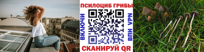 Галлюциногенные грибы мухоморы  Емва 